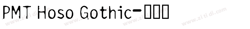 PMT Hoso Gothic字体转换